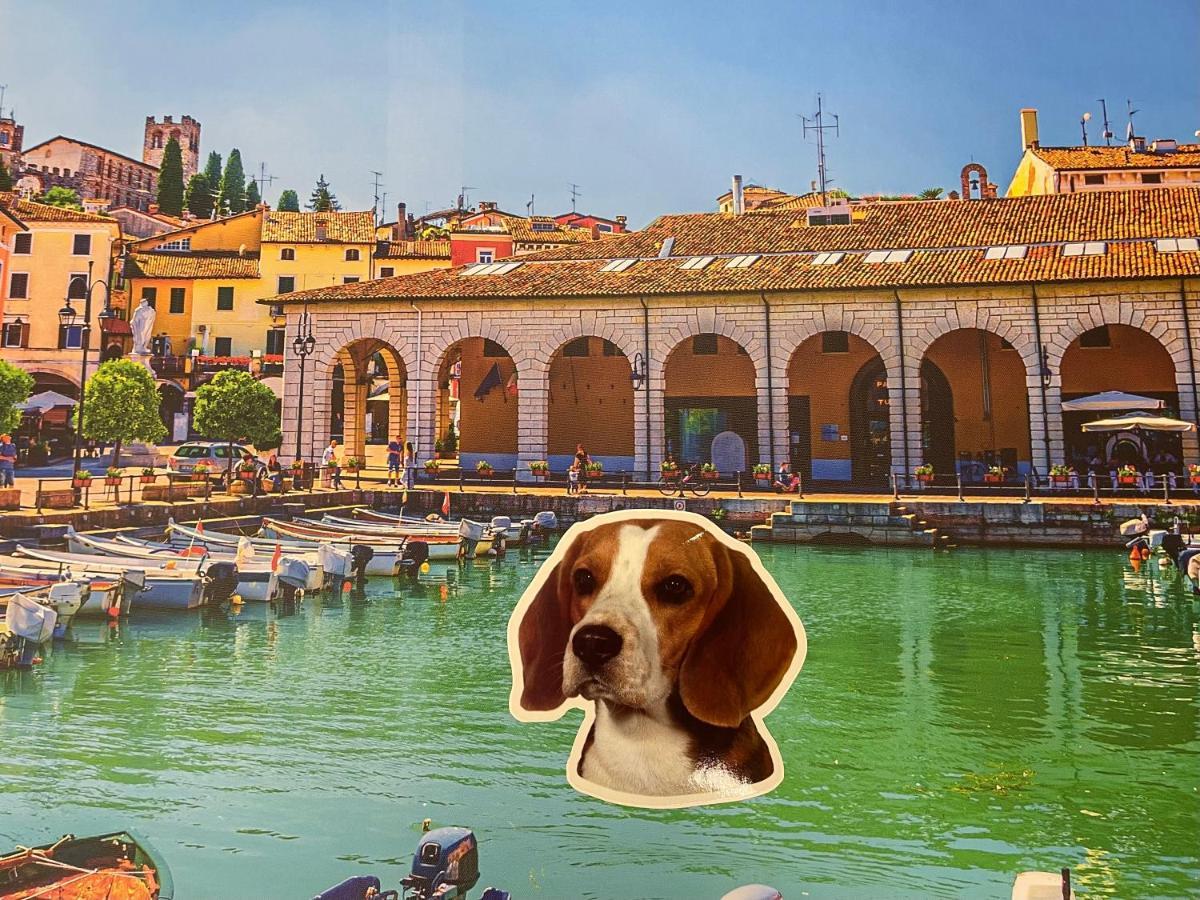 Desenzanoloft Blue Lake Star Apartman Desenzano del Garda Kültér fotó